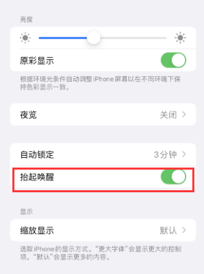 洛扎苹果授权维修站分享iPhone轻点无法唤醒怎么办