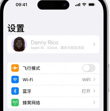 洛扎appleID维修服务iPhone设置中Apple ID显示为灰色无法使用 