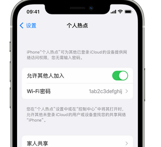 洛扎apple服务站点分享iPhone上个人热点丢失了怎么办 