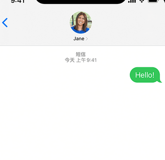 洛扎apple维修iPhone上无法正常发送iMessage信息