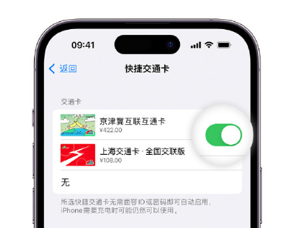 洛扎apple维修点分享iPhone上更换Apple Pay快捷交通卡手绘卡面 