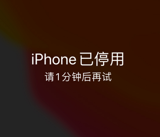 洛扎苹果手机维修分享:iPhone 显示“不可用”或“已停用”怎么办？还能保留数据吗？ 