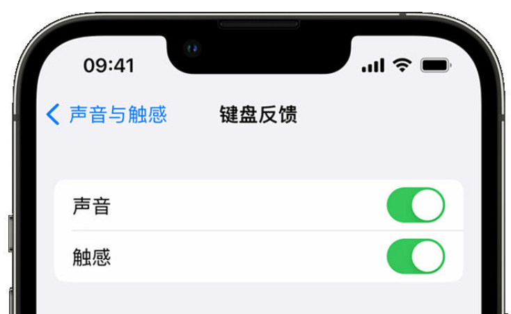 洛扎苹果手机维修分享iPhone 14触感键盘使用方法 