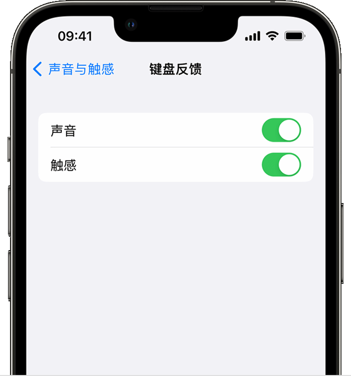 洛扎苹果14维修店分享如何在 iPhone 14 机型中使用触感键盘 