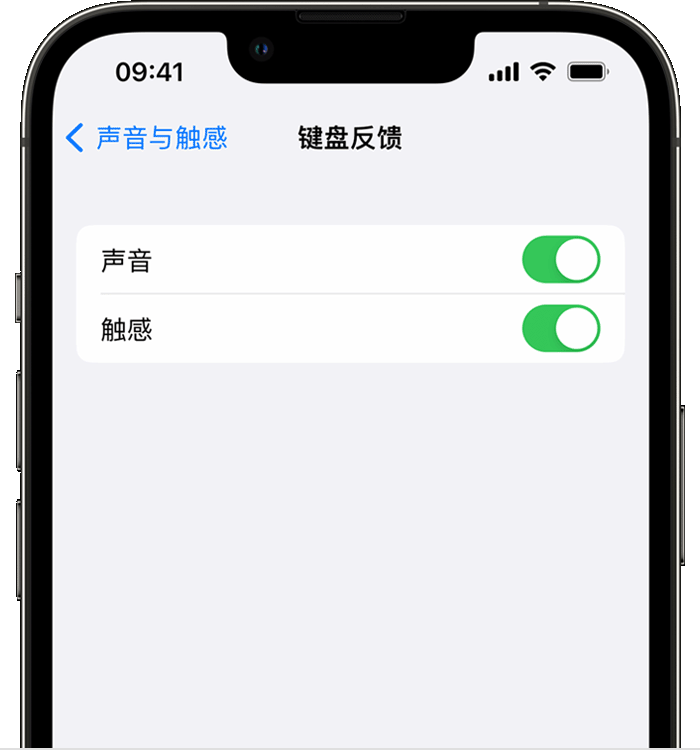 洛扎苹果14维修分享iPhone 14 系列机型如何开启键盘声音或触感反馈 