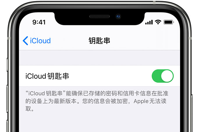 洛扎苹果手机维修分享在 iPhone 上开启 iCloud 钥匙串之后会储存哪些信息 