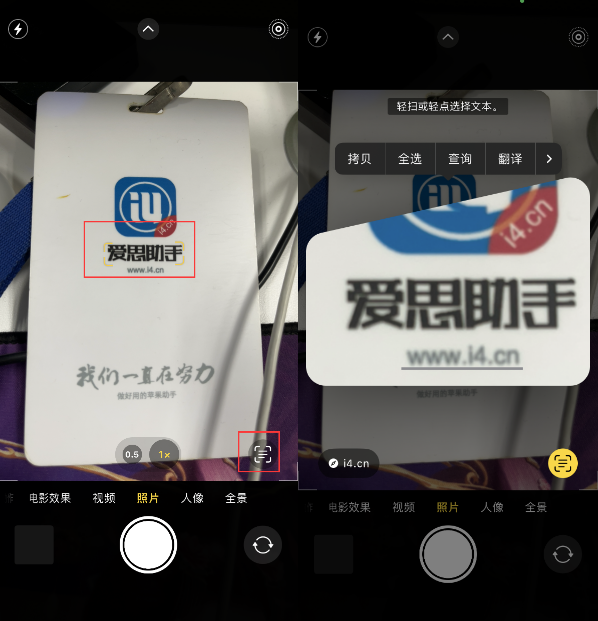 洛扎苹果手机维修分享升级iOS 16后如何通过相机翻译文本 