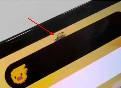 洛扎苹果14维修分享iPhone 14 Pro Max灵动岛怎么养宠物 