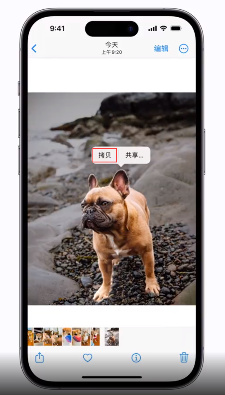 洛扎苹果手机维修分享 iOS 16 自带一键抠图功能 