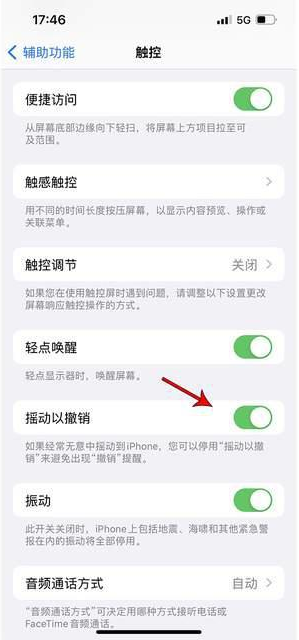 洛扎苹果手机维修分享iPhone手机如何设置摇一摇删除文字 