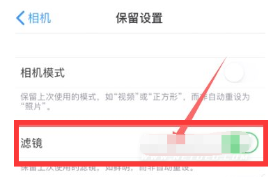 洛扎苹果13维修分享iPhone13拍照有绿点是怎么回事 