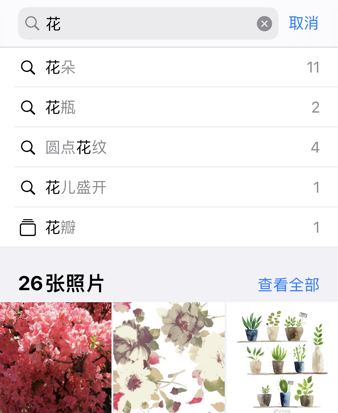 洛扎苹果手机维修分享iPhone 小技巧 