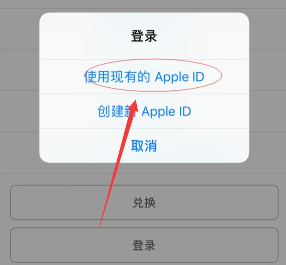 洛扎苹果手机维修分享两台iPhone设备可以同时登录一个Apple ID吗 