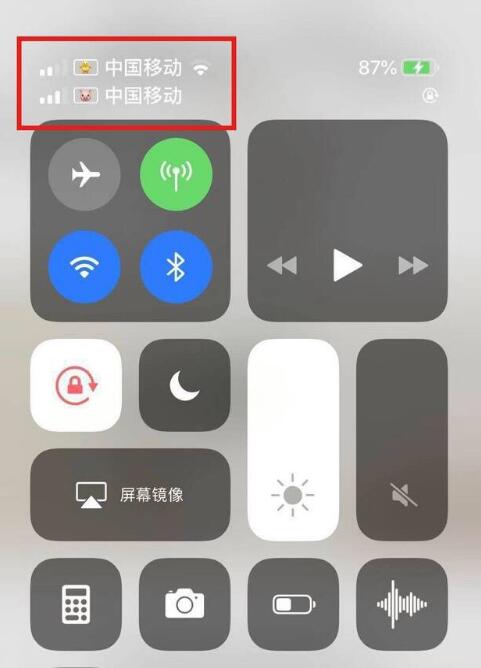 洛扎苹果手机维修分享为 iPhone 12 双卡设置标签 